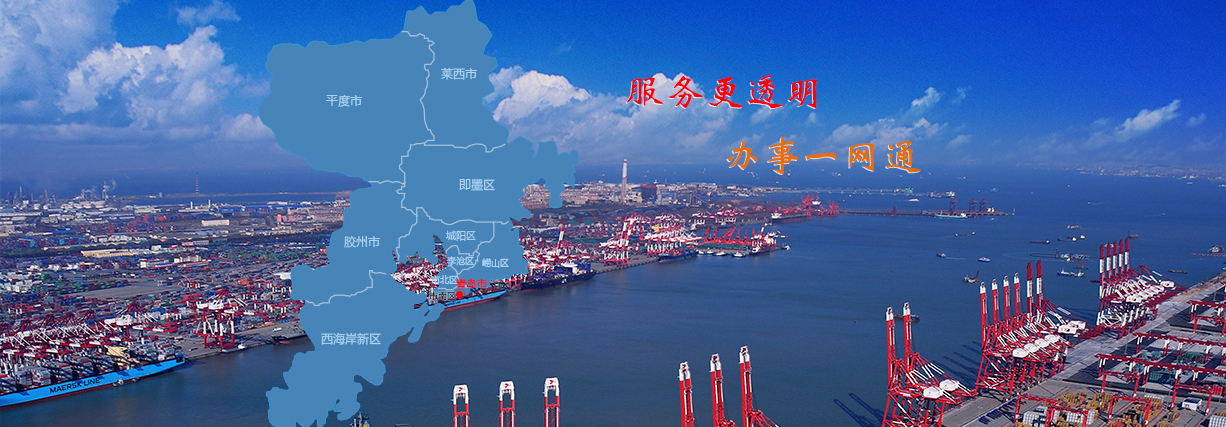 山东政务服务网 青岛61青岛前湾保税港区